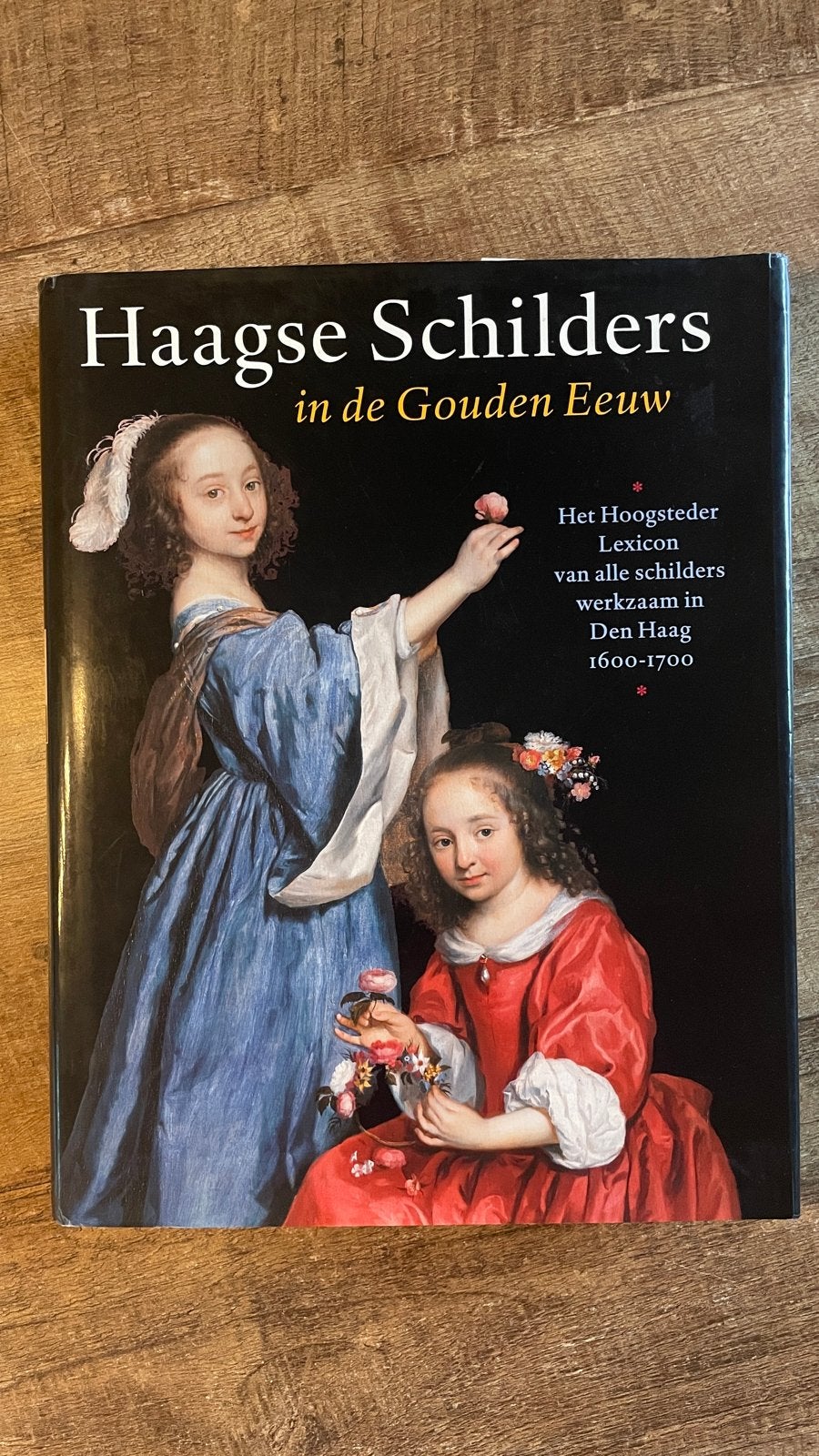 Haagse Schilders in de Gouden Eeuw - Kunstboek, Ophalen of Verzenden, Zo goed als nieuw, Schilder- en Tekenkunst