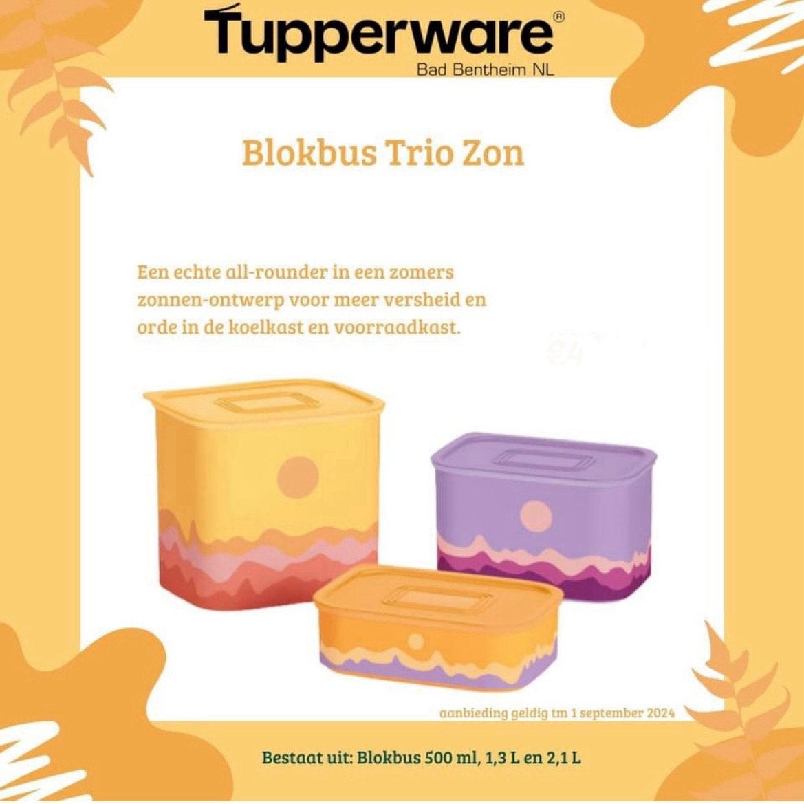 Tupperware Voorraadbus Zon (3) # 500 ml / 1,3 / 2,1 liter ️, Verzenden, Nieuw, Bus of Trommel, Luchtdicht