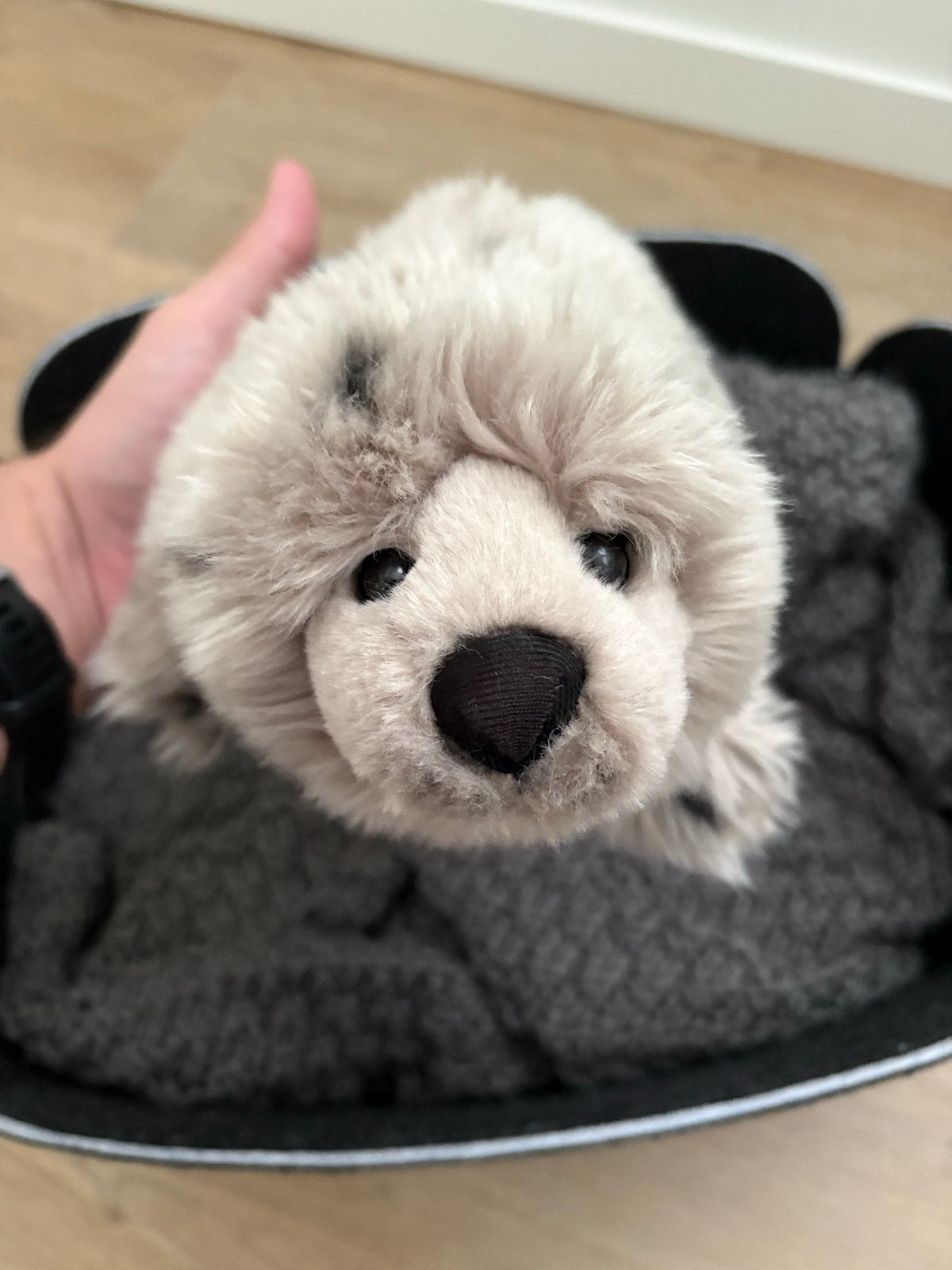 Schattige zeehond knuffel van Nature Planet, Overige merken, Overige karakters, Overige typen, Grijs