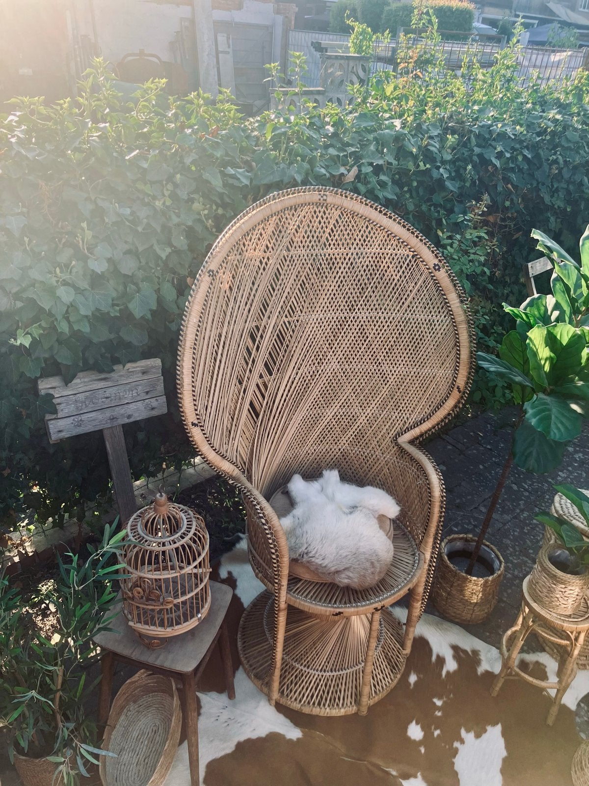 Vintage rotan pauwstoel - bohemian stijl, Ophalen, Gebruikt, Overige kleuren, Riet of Rotan