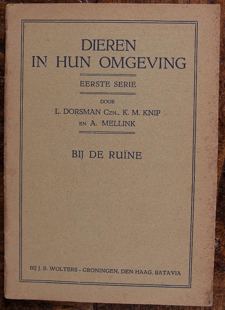 schoolplaat  boekje – Bij de ruine , Antiek en Kunst, Antiek | Schoolplaten, Ophalen of Verzenden, Natuur en Biologie