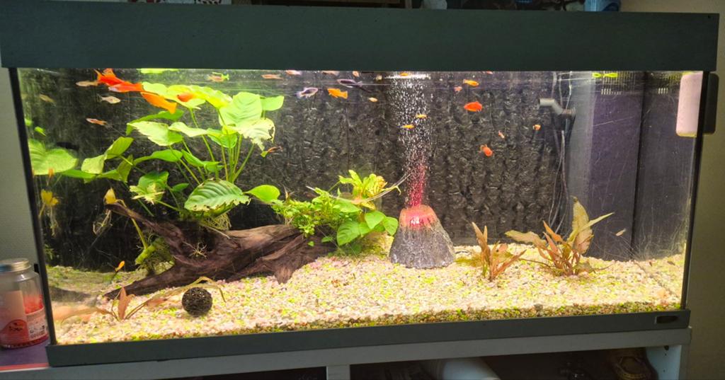 mooie aquarium 200 liter+ toebehoren zie foto's, Dieren en Toebehoren, Ophalen, Zo goed als nieuw, Overige typen