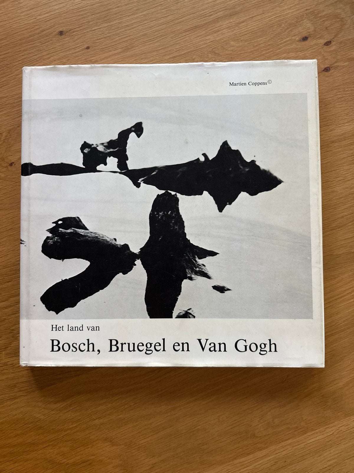 Het land van Bosch, Bruegel en Van Gogh - Martien Coppens, Ophalen, Gelezen, Schilder- en Tekenkunst