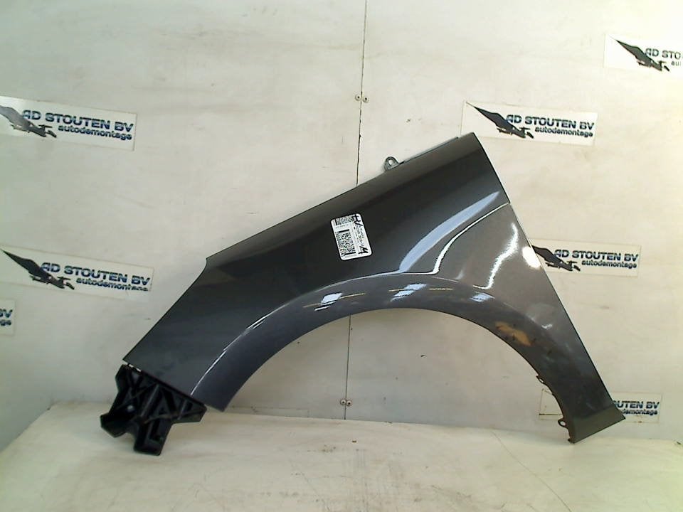 Spatbord Links Voor Ford Fiesta 7 (2017-05/2023-07), Gebruikt, Henry-Ford-Straße  1, Köln 50735, , Duitsland, Ford-Werke GmbH