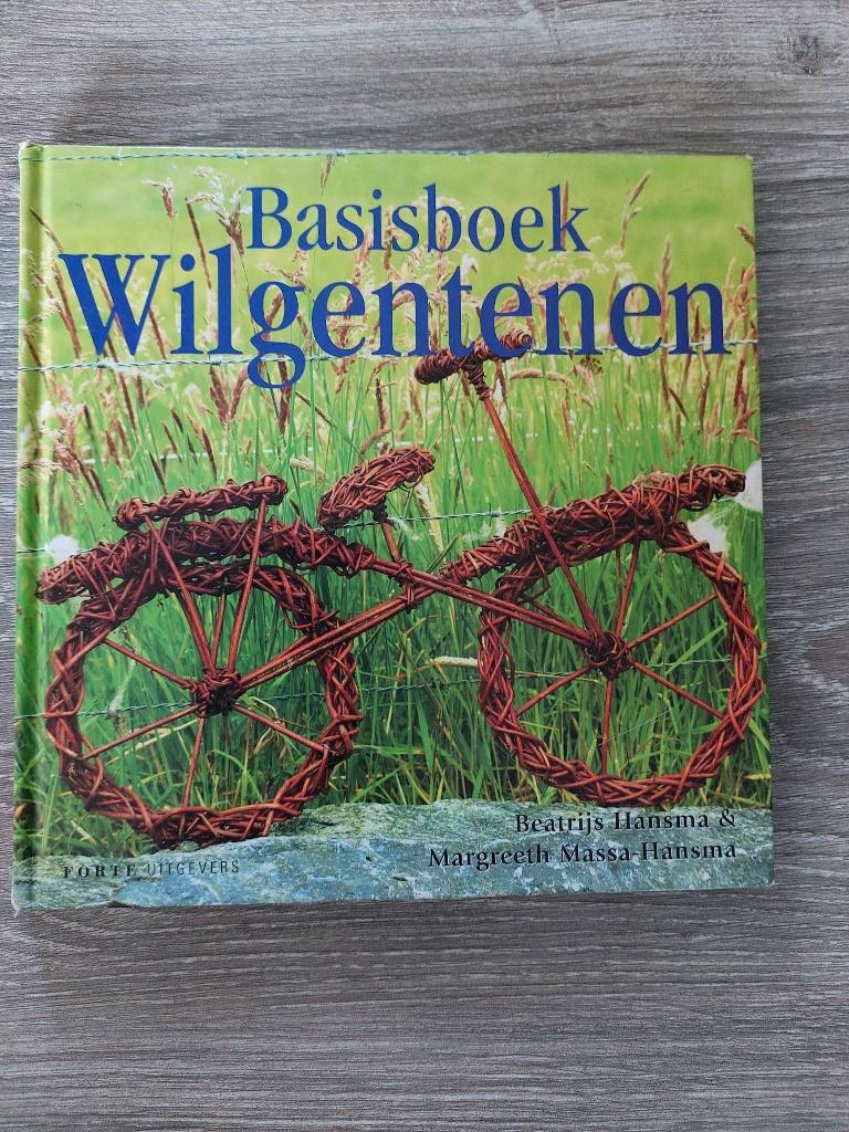 Beatrijs Hansma & Margreet Massa - Basisboek wilgentenen, Ophalen of Verzenden, Zo goed als nieuw