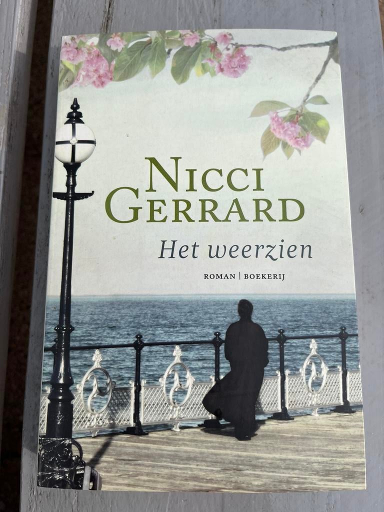 Nicci Gerrard - Het Weerzien, Ophalen of Verzenden, Gelezen, Nederland
