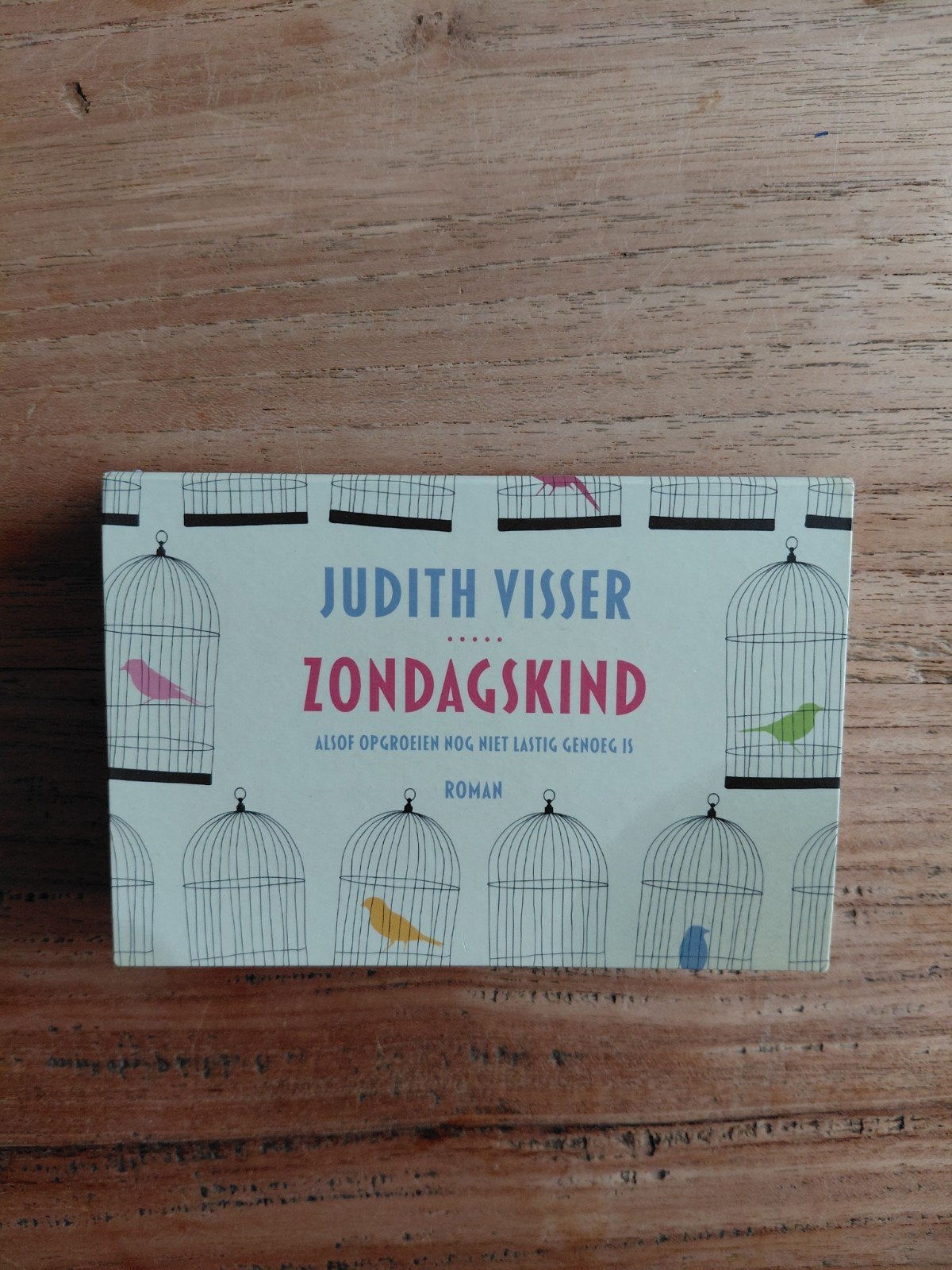 Judith Visser - Zondagskind (uitvoering boek: dwarsligger), Boeken, Ophalen of Verzenden, Zo goed als nieuw, Judith Visser