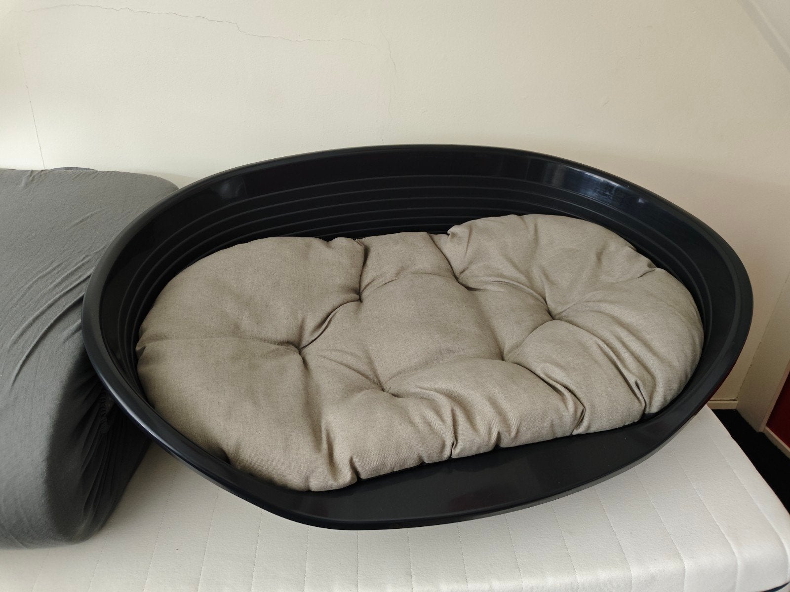 Hondenmand nieuw, Ophalen