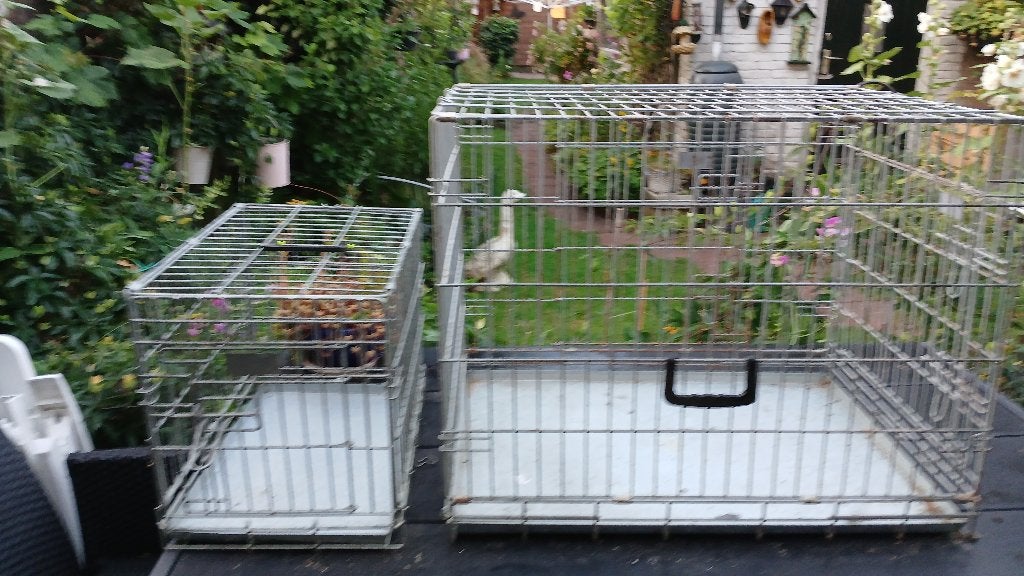 2x HONDENBENCH, Ophalen, Gebruikt