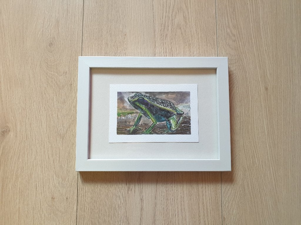 Mini aquarel Gestreepte pijlgifkikker schilderijtje 13x18 cm, Ophalen, Minder dan 50 cm, Nieuw, 5 – 50