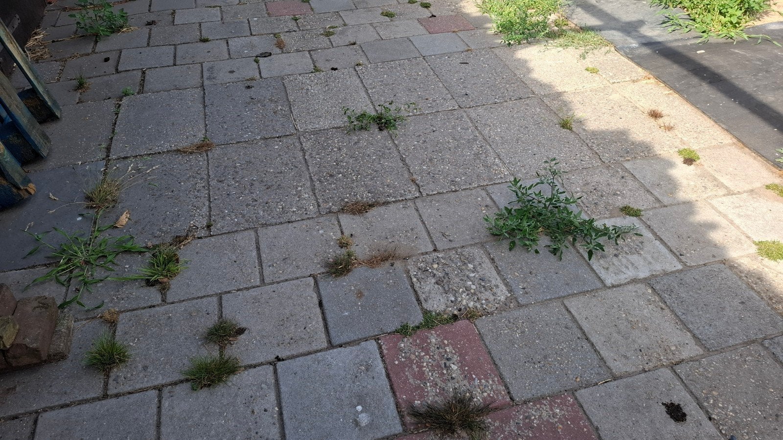 Gratis betontegels 30x30, Ophalen, Gebruikt, Overige typen, 10 m² of meer