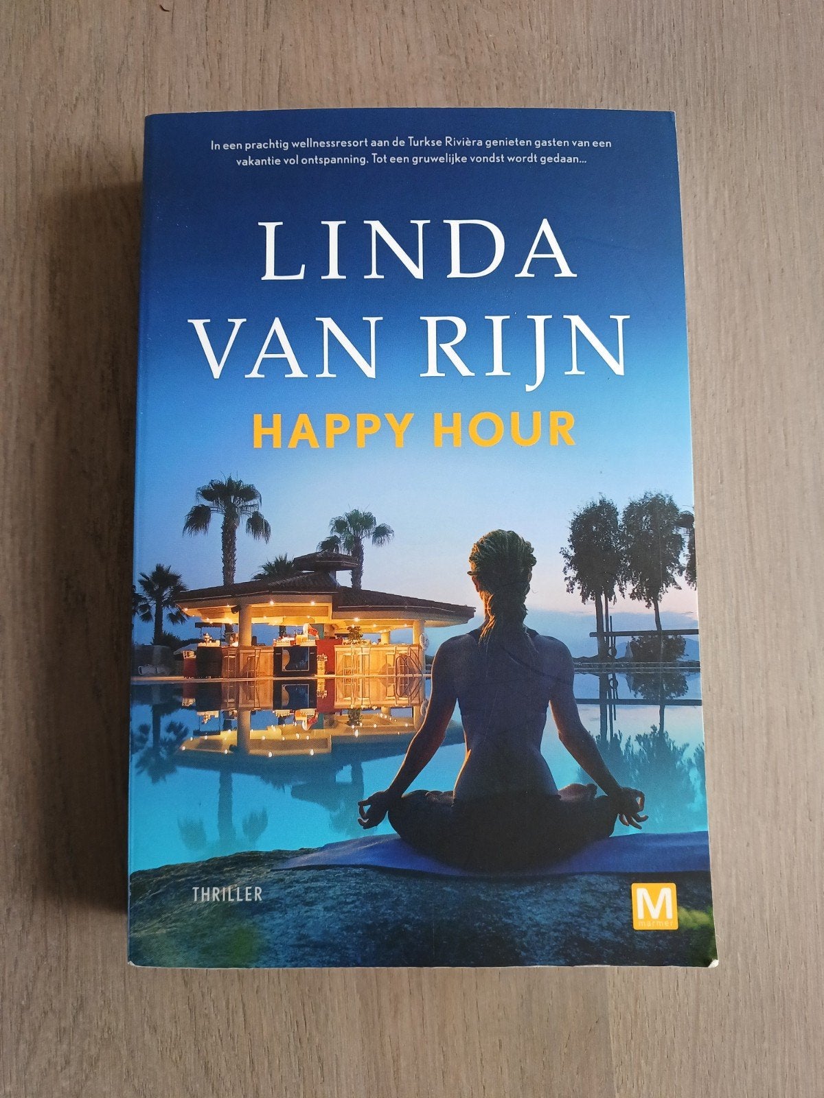 Happy Hour - Linda van Rijn (Literaire thriller), Ophalen of Verzenden, Zo goed als nieuw, Linda van Rijn, Nederland