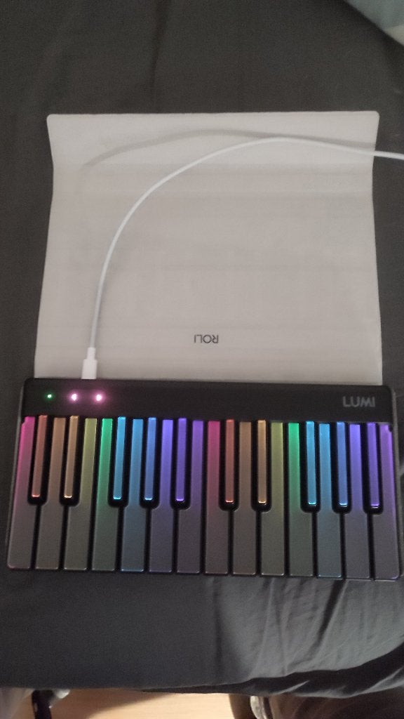 Roli Piano M / Roli Lumi met opberghoes, Muziek en Instrumenten, Ophalen of Verzenden, Zo goed als nieuw, Overige aantallen, Overige merken