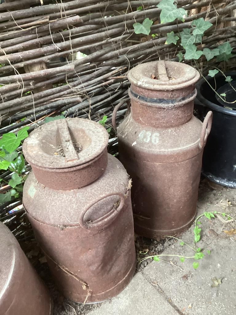 Set van 3 Antieke Melkbussen - Decoratief en Rustiek, Ophalen