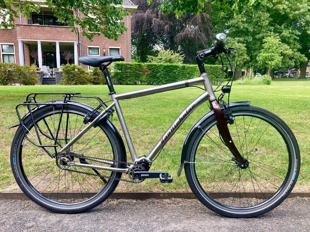 Van Nicholas Deveron Pinion H53 - Ralph, Gebruikt, Velgrem, Versnellingen, 53 tot 57 cm