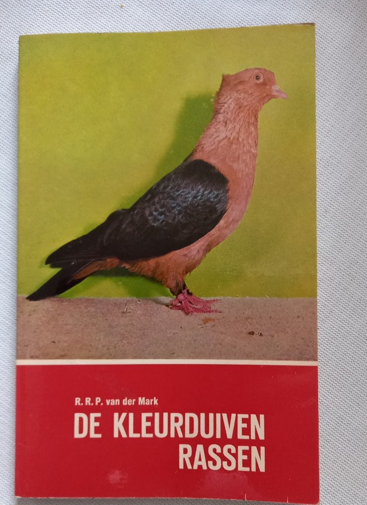 duiven en benodigheden, Dieren en Toebehoren, Vogels | Duiven, Meerdere dieren, Overige soorten