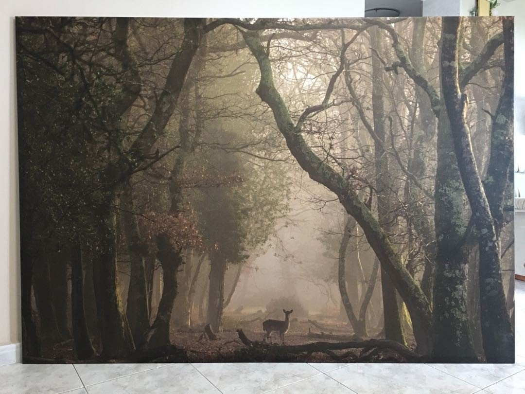 IKEA Canvas Schilderij 200x140 - Bos met Herten, Ophalen, Zo goed als nieuw, Textiel