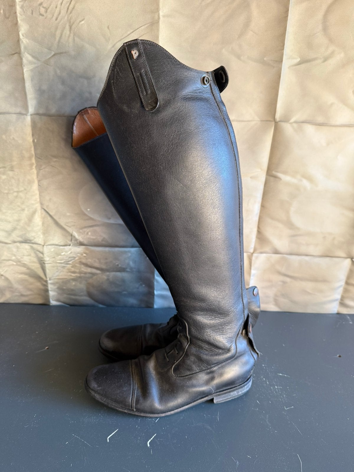 Petrie 40, Ophalen of Verzenden, Zo goed als nieuw, Dressuur, Schoeisel