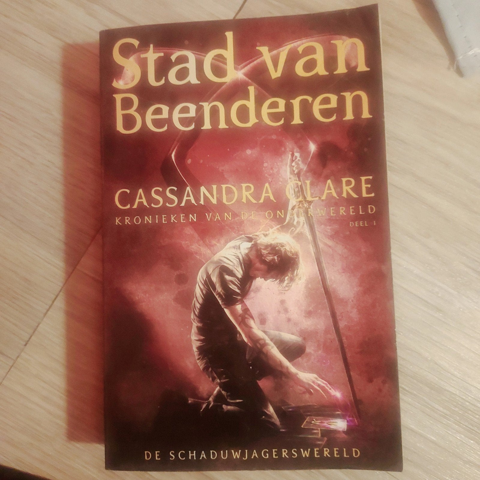 Stad van Beenderen - Kronieken van de Onderwereld Deel 1, Ophalen of Verzenden, Gelezen, Cassandra Clare