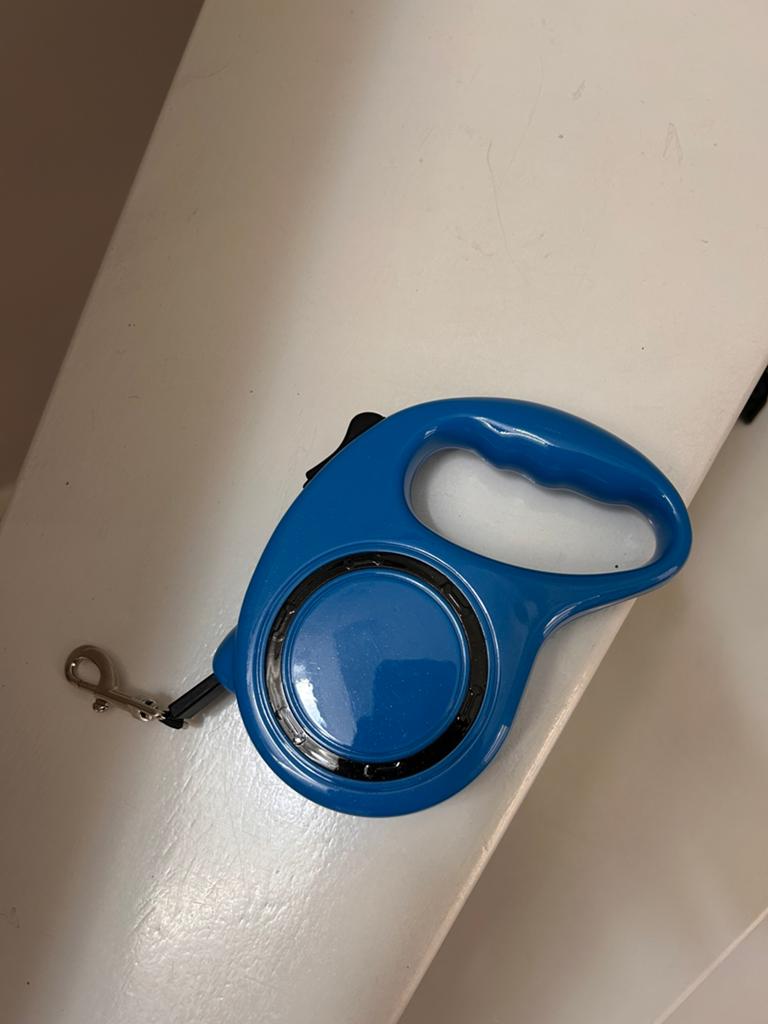 Rollijn Hondenriem Nieuw, Dieren en Toebehoren, Ophalen of Verzenden, Nieuw
