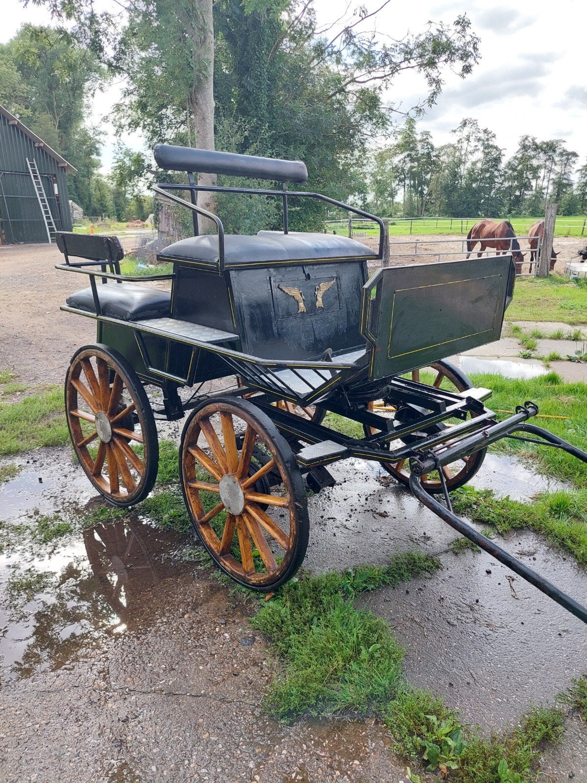 menwagen, Gebruikt, Wagonette, Paard