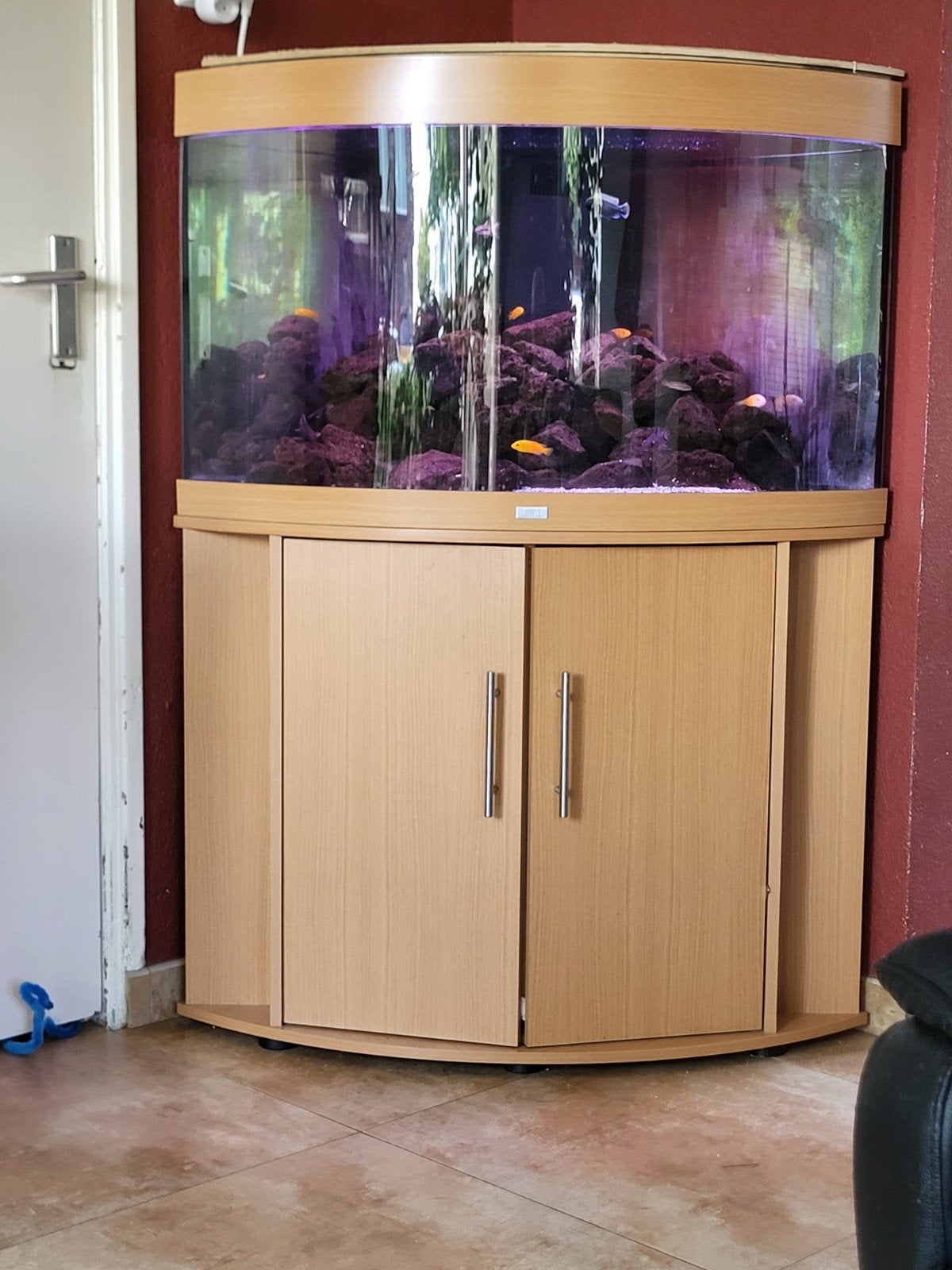 juwel 200L hoek aquarium., Dieren en Toebehoren, Ophalen, Zo goed als nieuw, Gevuld zoetwateraquarium