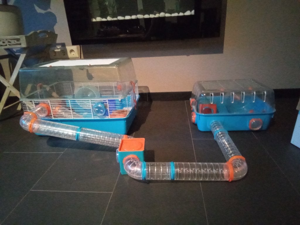Hamsterkooi, Dieren en Toebehoren, Kooi, Gebruikt, Hamster, 75 tot 110 cm