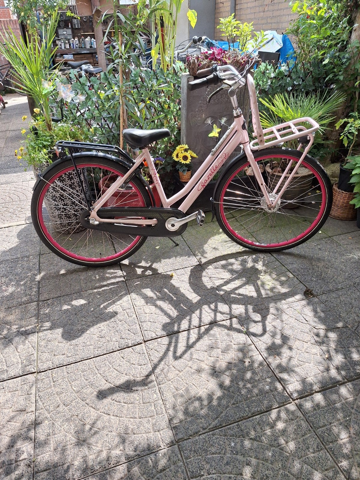 gazelle missgrace, Ophalen, 26 inch of meer