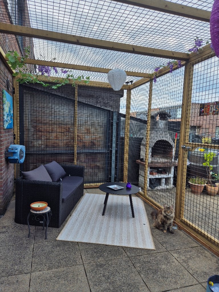 Kattenren Berkel | Maatwerk | Duurzame materialen, Dieren en Toebehoren, Katten-accessoires, Ophalen of Verzenden, Nieuw
