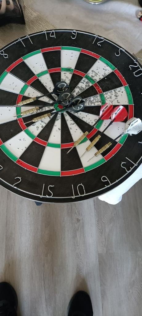 Van Gerwen dartbord voor beginners - gebruikt, Ophalen of Verzenden