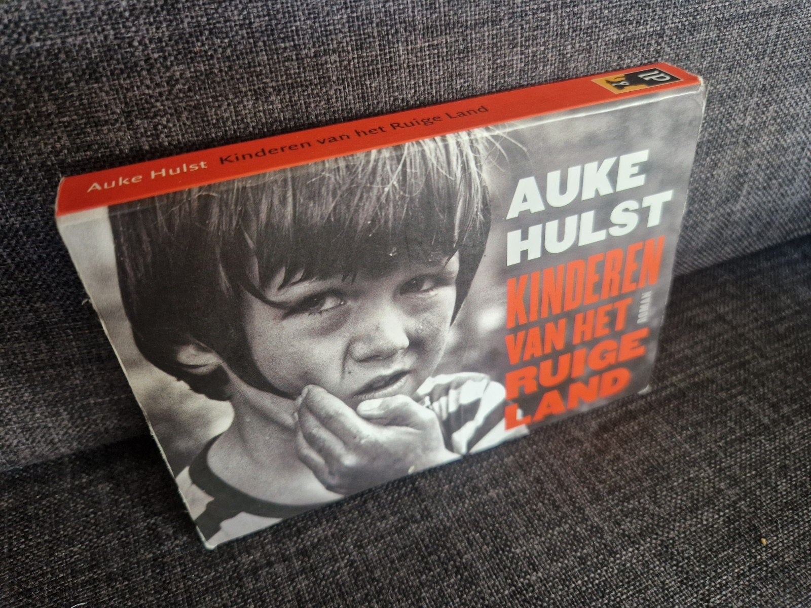 Dwarsligger 304: Kinderen van het ruige land - Auke Hulst, Boeken, Ophalen of Verzenden, Gelezen, Auke Hulst
