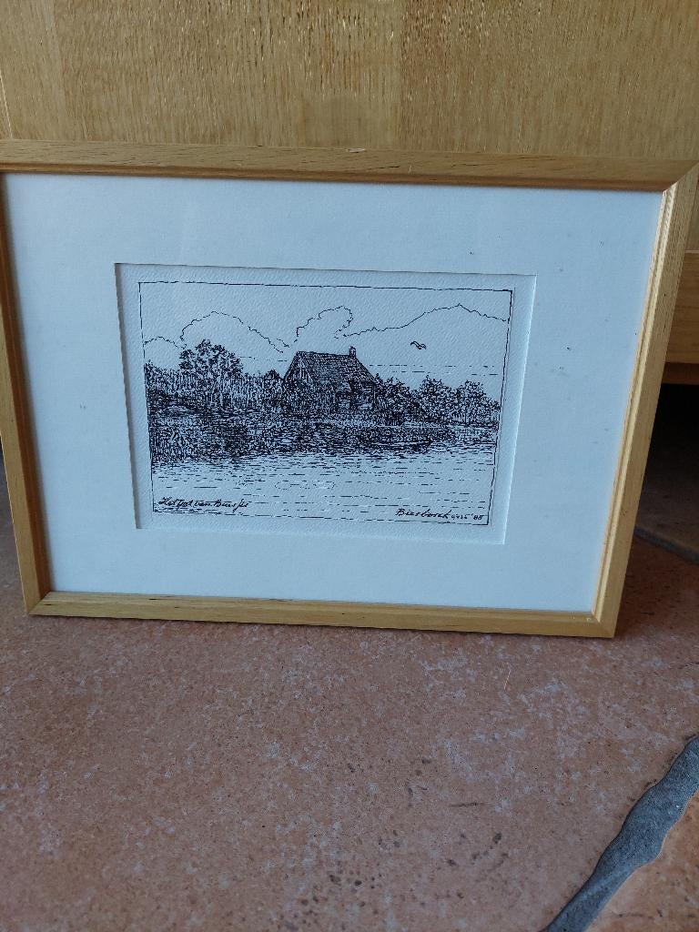 Pen Tekening Biesbosch, Ophalen of Verzenden