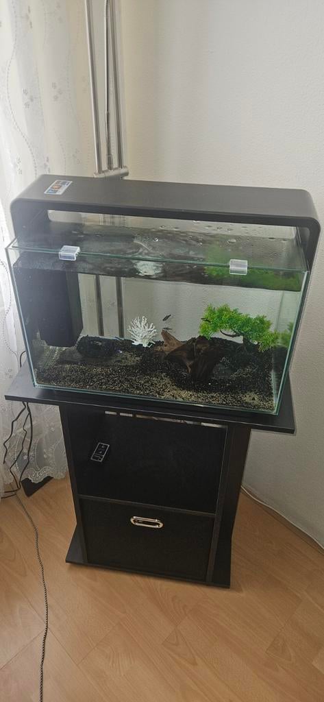 Volledige aquariumset