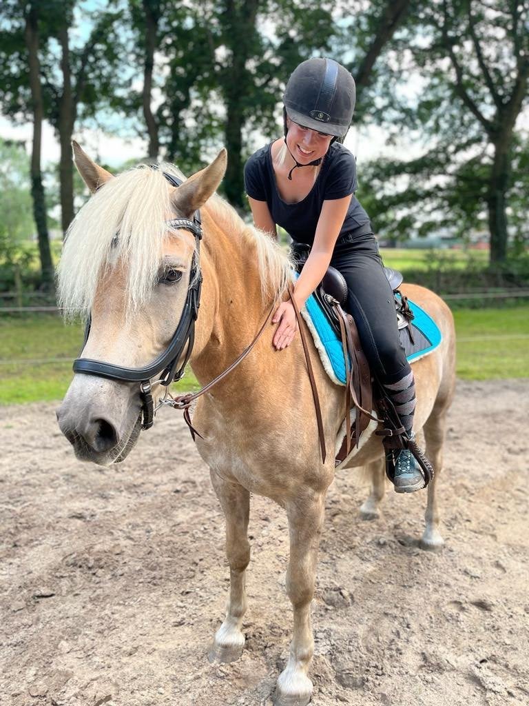 Mooie 9 jarige haflinger ruin, Dieren en Toebehoren, E pony (1.48m - 1.57m), Met stamboom, B, Ruin