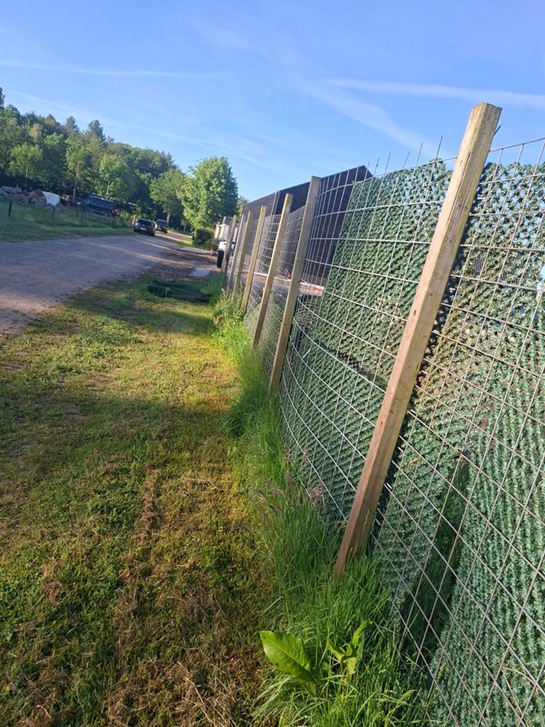 Schuttingpalen, betongaas en groene matten. Goede staat., Ophalen, Hout, Minder dan 3 meter, 1 tot 2 meter