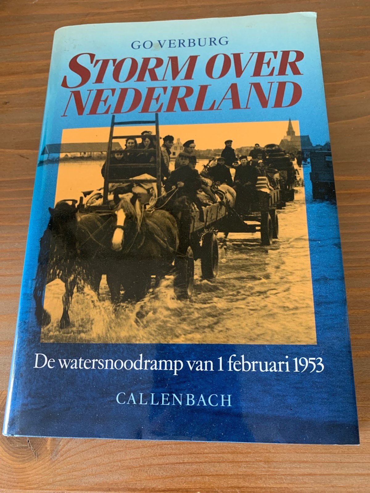 Storm over Nederland: Watersnoodramp 1953, Ophalen of Verzenden, 20e eeuw of later, Gelezen