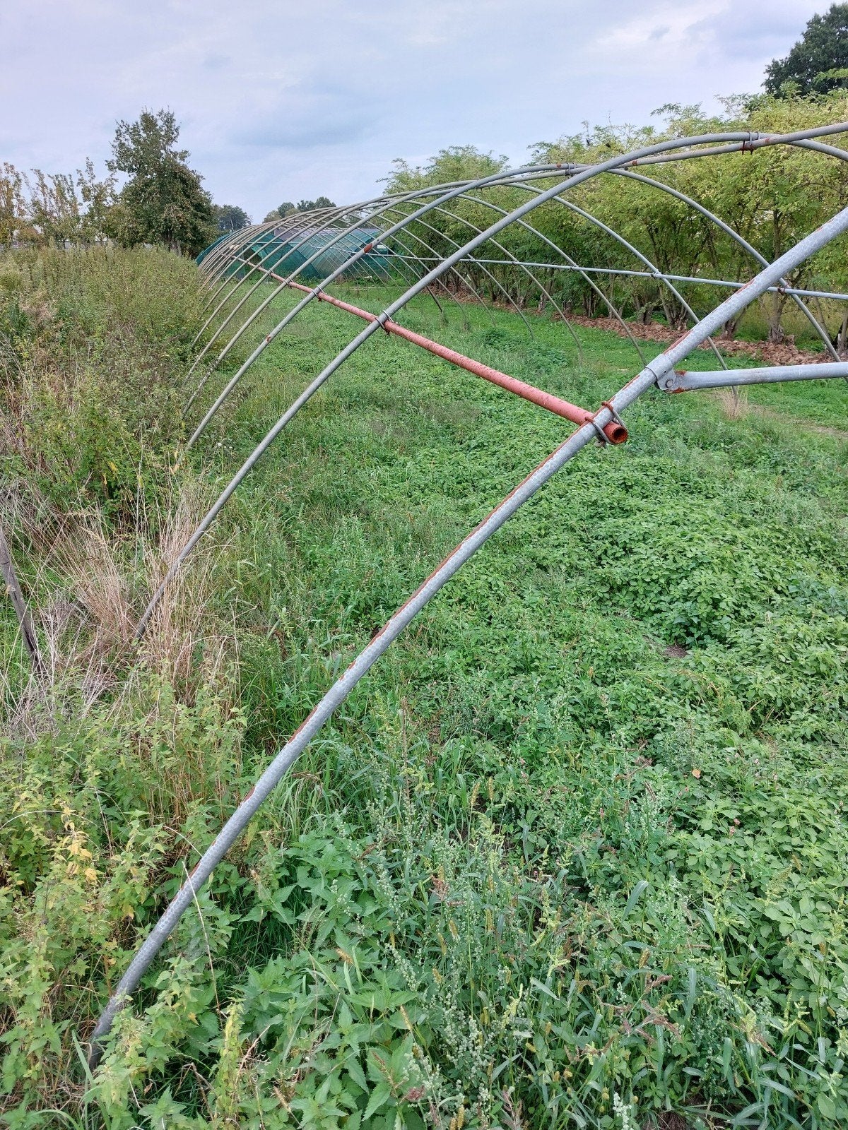 Grote tunnelkas frame, Tuin en Terras, Gebruikt, Folie, Kweekkas, Ophalen