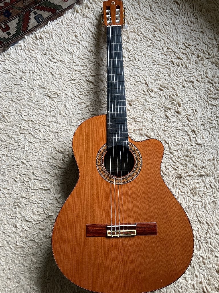 Alhambra CTW 5P ele met Ritter koffer en Fishman piezo, Ophalen of Verzenden, Gebruikt, Klassieke of Spaanse gitaar, Met (piezo-)element