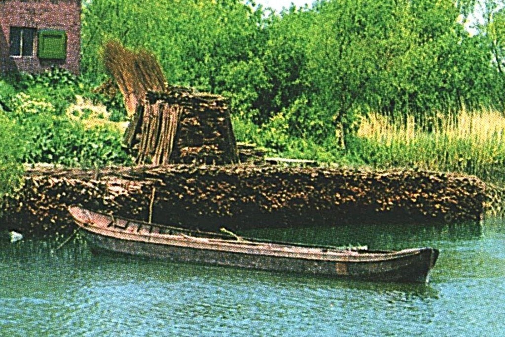 43758 Biesbosch jr 60 70 Het gat van Buisjes _ Onbeschreven, Ophalen of Verzenden, 1960 tot 1980, Ongelopen, Noord-Brabant