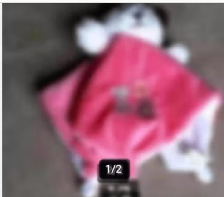Baby knuffel doek hondje nieuw, Ophalen of Verzenden, Nieuw, Hond
