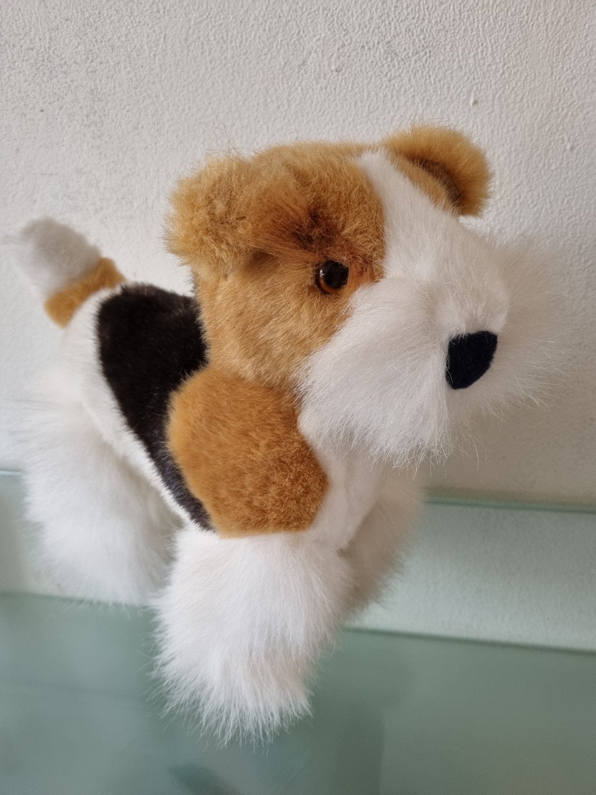 Orig, Kempenaar,FOX TERRIËR, 40cm, Levensecht, Inwst!, Overige merken, Middelgroot (20 tot 80 cm), Hond, Ophalen of Verzenden