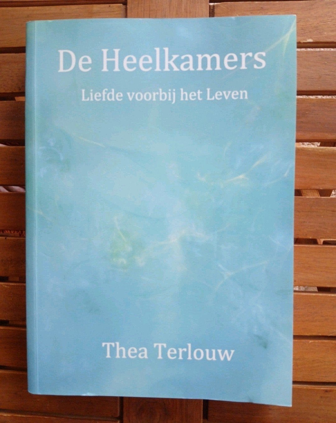 De Heelkamers: Liefde voorbij het Leven Thea Terlouw VASTE P, Boeken, Achtergrond en Informatie, Ziel of Sterfelijkheid, Ophalen of Verzenden