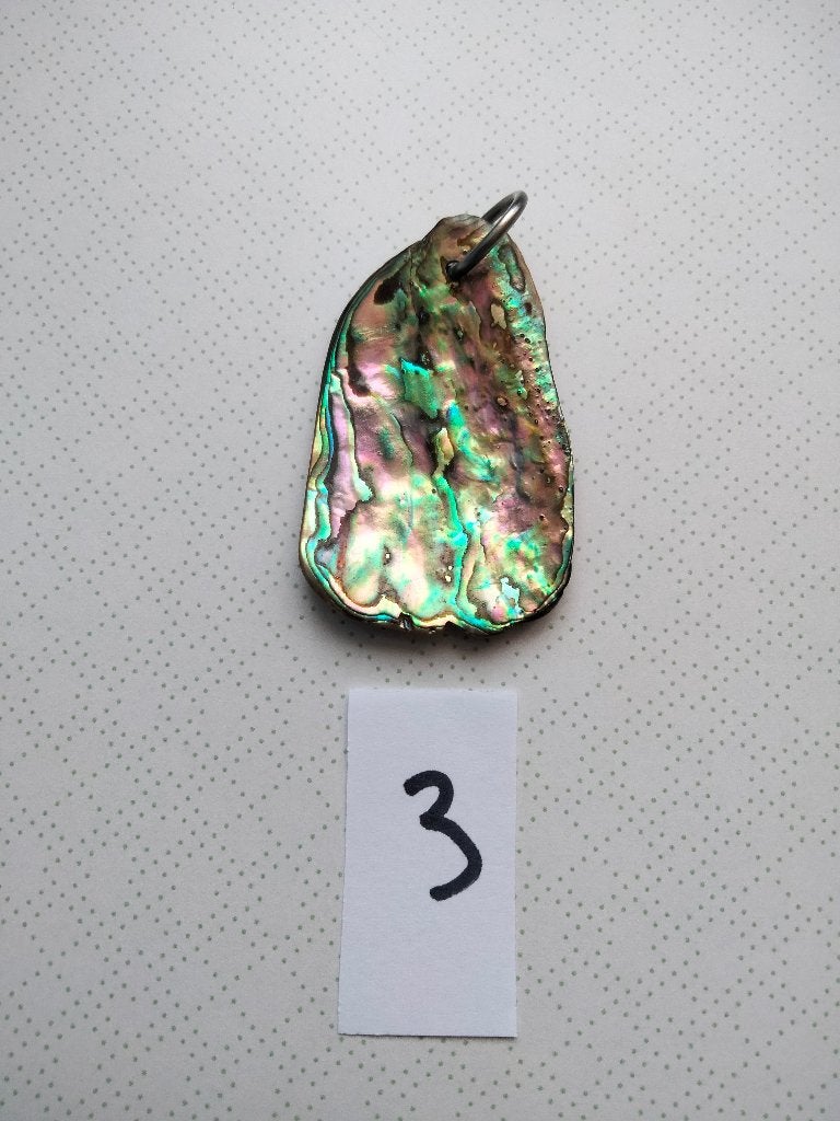 Prachtige Abalone Schelp Hanger - Uniek en Kleurrijk, Ophalen, Overige materialen, Nieuw, Overige kleuren