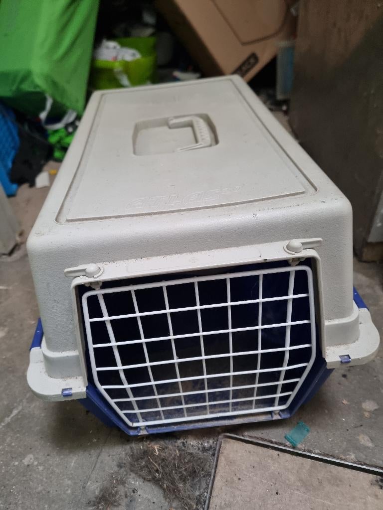 Transportbox kat / hondje, Ophalen, Zo goed als nieuw