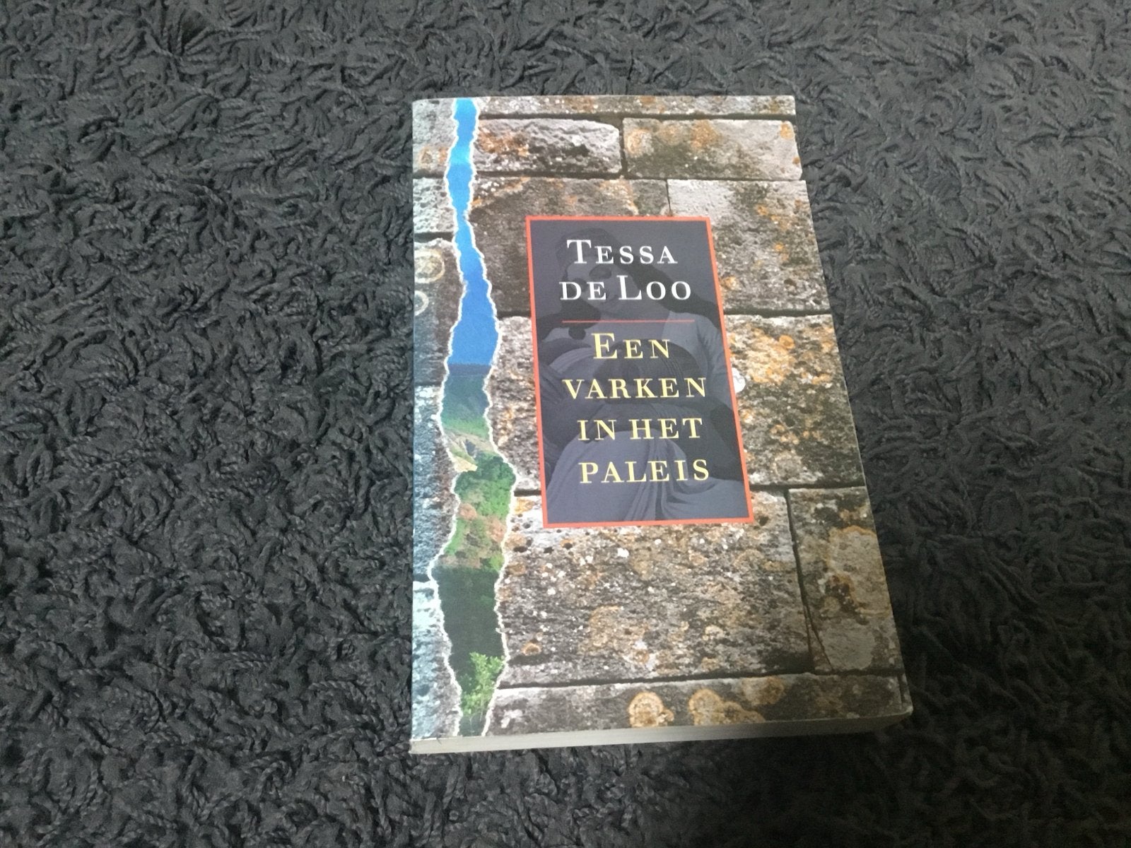Tessa de Loo - Een varken in het paleis, Boeken, Ophalen of Verzenden, Zo goed als nieuw