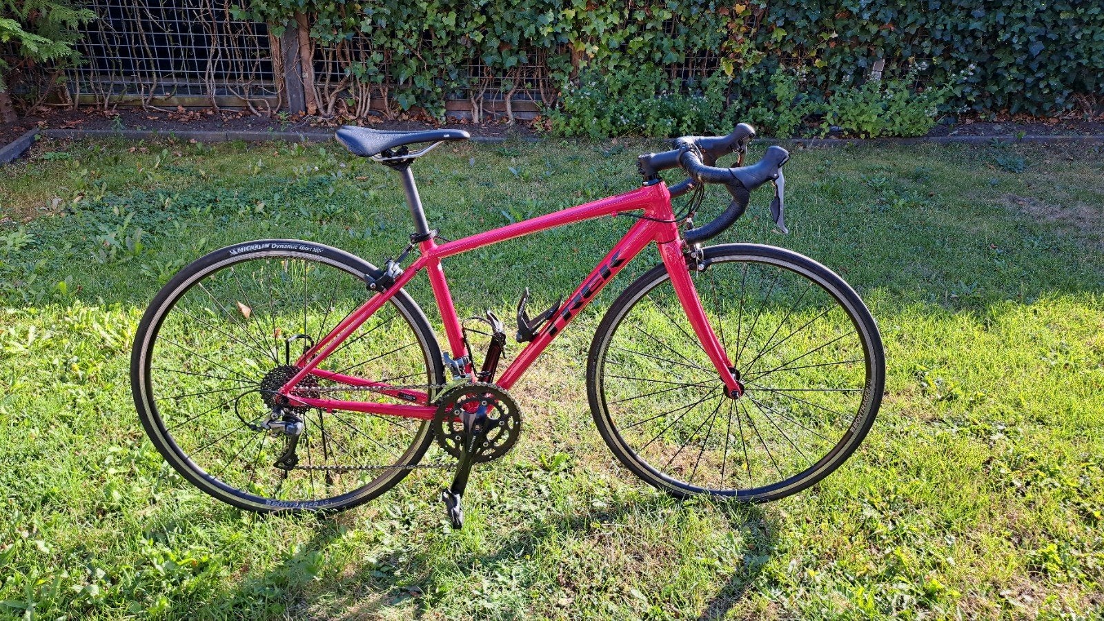 TREK Domane AL 2 - maat 50, Gebruikt, 49 tot 53 cm, Meer dan 20 versnellingen, Ophalen