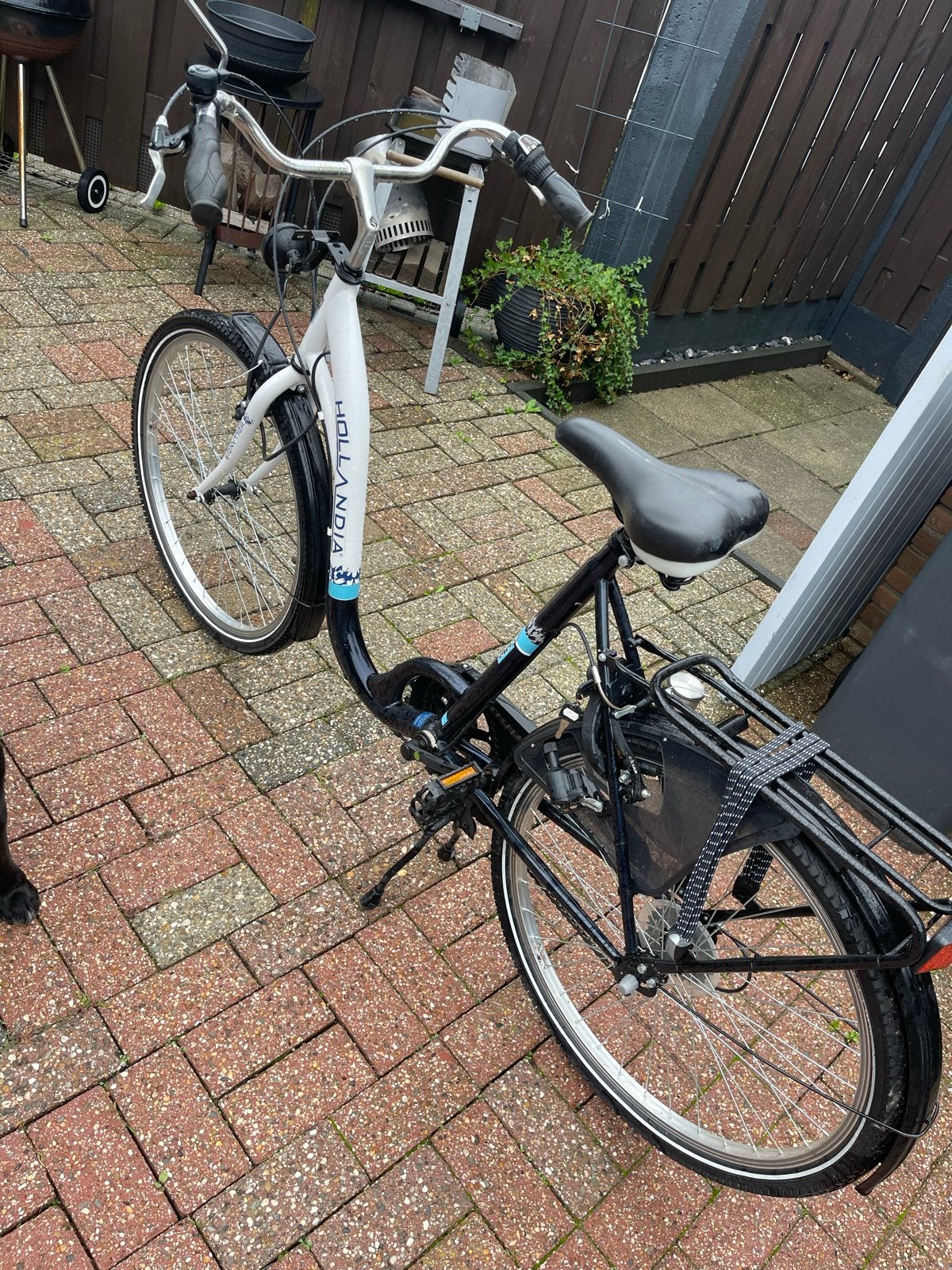 Hollandia Damesfiets met lage instap, Fietsen en Brommers, Velgrem, 50 tot 53 cm, Ophalen, Overige merken