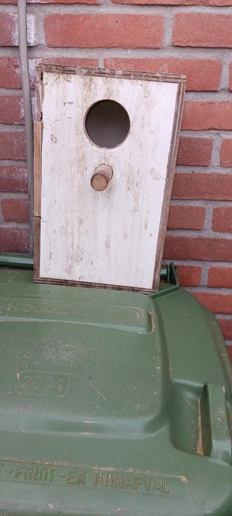 Broedblok, Mannelijk, Parkiet