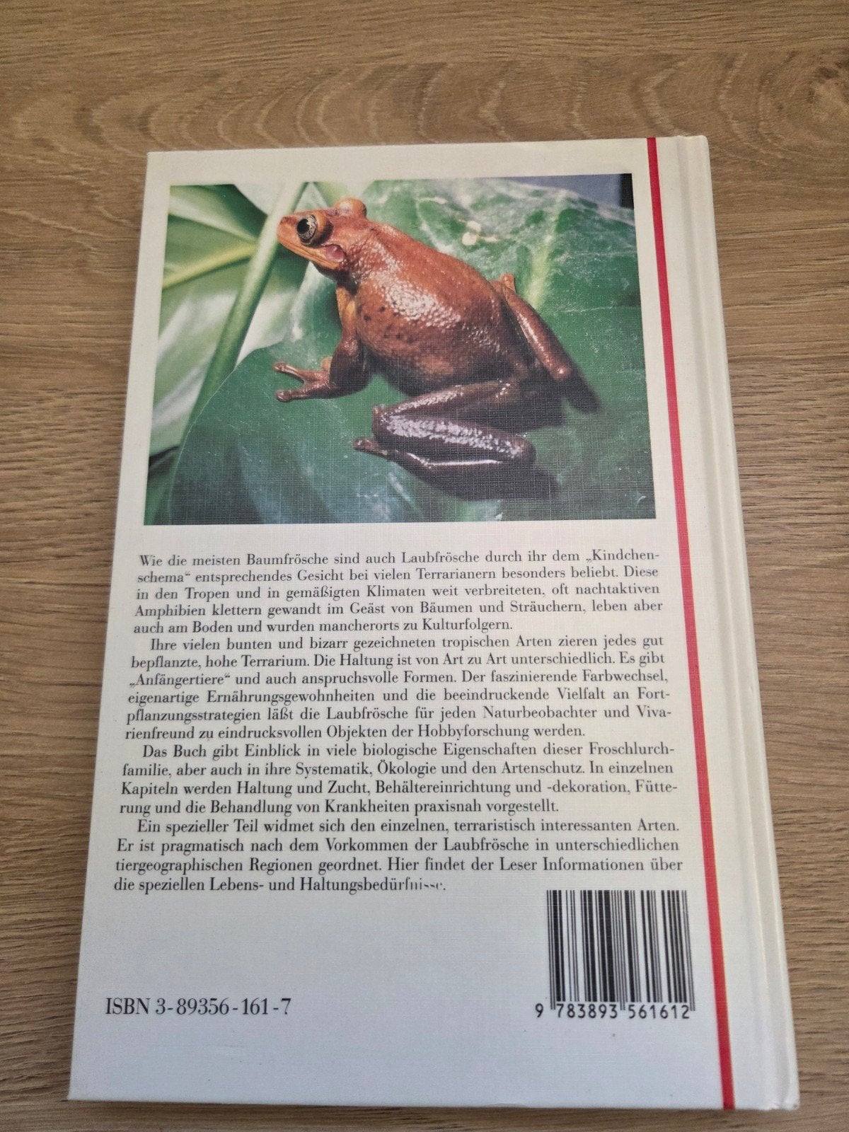 Laubfrösche: Kweek en verzorging van boomkikkers Frog photo 2