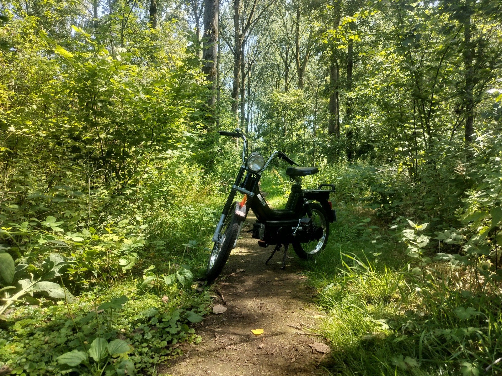Vespa si orgineel, Fietsen en Brommers, Brommers | Tomos, Ophalen, Overige modellen, Nieuw, 49 cc